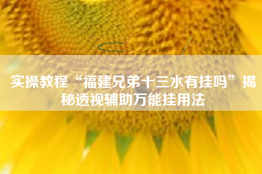 实操教程“福建兄弟十三水有挂吗”揭秘透视辅助万能挂用法 实操教程“福建兄弟十三水有挂吗”揭秘透视辅助万能挂用法