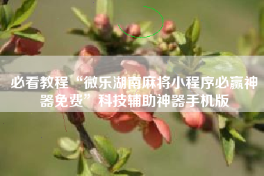 必看教程“微乐湖南麻将小程序必赢神器免费”科技辅助神器手机版