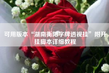 可用版本“湖南衡阳字牌透视挂”附开挂脚本详细教程