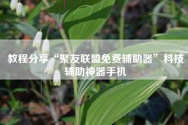 教程分享“聚友联盟免费辅助器”科技辅助神器手机