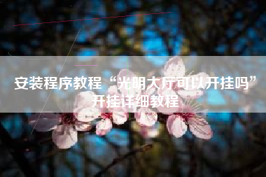 安装程序教程“光明大厅可以开挂吗”开挂详细教程