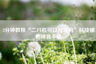 3分钟教程“二八杠可以开挂吗”科技辅助神器手机
