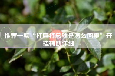 推荐一款“打麻将总输是怎么回事”开挂辅助详细 推荐一款“打麻将总输是怎么回事”开挂辅助详细