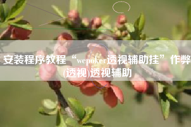 安装程序教程“wepoker透视辅助挂”作弊(透视)透视辅助