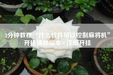 3分钟教程“什么软件可以控制麻将机”开挂辅助脚本+详细开挂