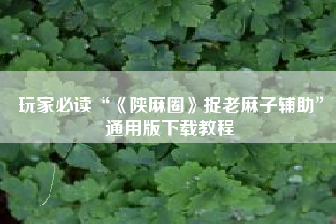 玩家必读“《陕麻圈》捉老麻子辅助”通用版下载教程