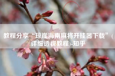 教程分享“琼崖海南麻将开挂器下载”(详细透视教程)-知乎