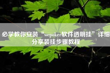 必学教你安装“wepoker软件透明挂”详细分享装挂步骤教程