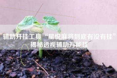 辅助开挂工具“星悦麻将到底有没有挂”揭秘透视辅助万能挂