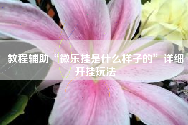 教程辅助“微乐挂是什么样子的”详细开挂玩法