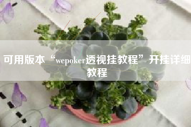 可用版本“wepoker透视挂教程”开挂详细教程
