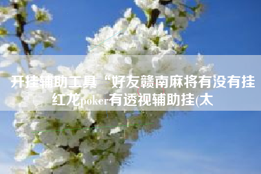 开挂辅助工具“好友赣南麻将有没有挂红龙poker有透视辅助挂(太