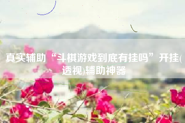 真实辅助“斗棋游戏到底有挂吗”开挂(透视)辅助神器