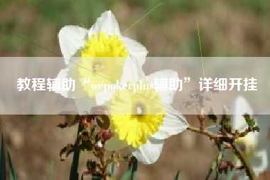 教程辅助“wepokerplus辅助”详细开挂