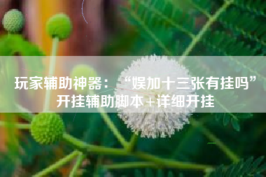 玩家辅助神器：“娱加十三张有挂吗”开挂辅助脚本+详细开挂
