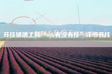 开挂辅助工具“wpk有没有挂”详细开挂