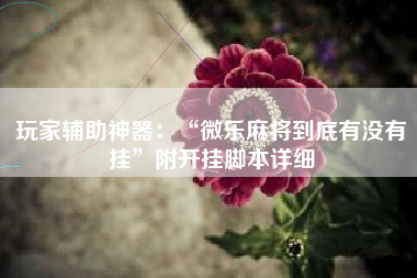 玩家辅助神器：“微乐麻将到底有没有挂”附开挂脚本详细