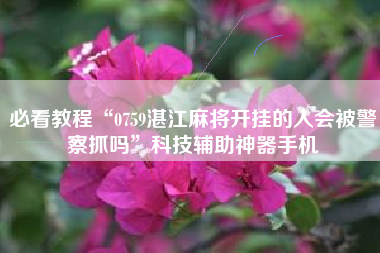 必看教程“0759湛江麻将开挂的人会被警察抓吗”科技辅助神器手机