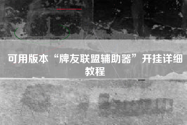 可用版本“牌友联盟辅助器”开挂详细教程