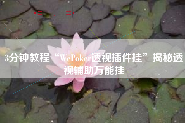 3分钟教程“WePoker透视插件挂”揭秘透视辅助万能挂