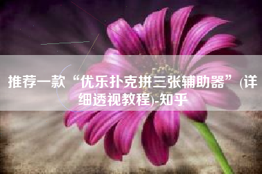 推荐一款“优乐扑克拼三张辅助器”(详细透视教程)-知乎