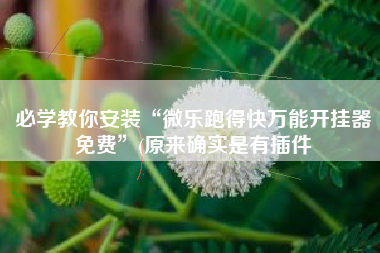 必学教你安装“微乐跑得快万能开挂器免费”(原来确实是有插件