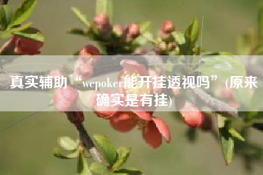 真实辅助“wepoker能开挂透视吗”(原来确实是有挂)