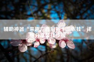 辅助神器“来趣广西麻将十三张挂”详细分享装挂步骤