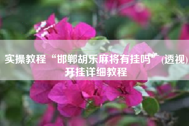 实操教程“邯郸胡乐麻将有挂吗”(透视)开挂详细教程