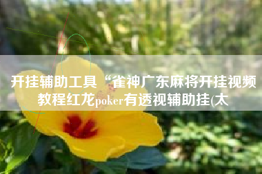 开挂辅助工具“雀神广东麻将开挂视频教程红龙poker有透视辅助挂(太