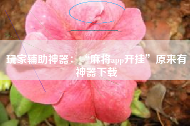 玩家辅助神器：“麻将app开挂”原来有神器下载
