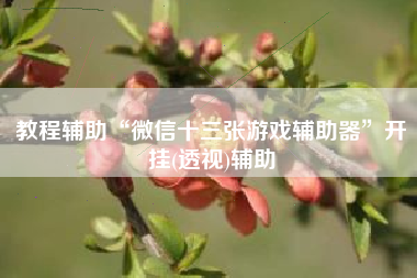 教程辅助“微信十三张游戏辅助器”开挂(透视)辅助