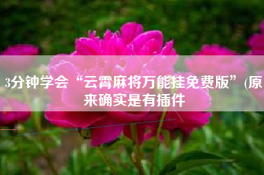 3分钟学会“云霄麻将万能挂免费版”(原来确实是有插件