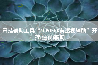 开挂辅助工具“AGPOKER有透视辅助”开挂(透视)辅助