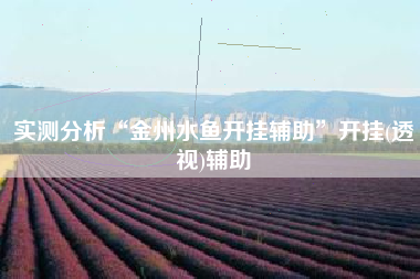 实测分析“金州水鱼开挂辅助”开挂(透视)辅助