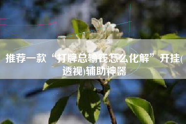 推荐一款“打牌总输钱怎么化解”开挂(透视)辅助神器