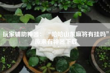 玩家辅助神器：“哈哈山东麻将有挂吗”原来有神器下载