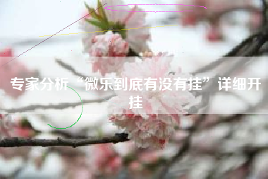 专家分析“微乐到底有没有挂”详细开挂