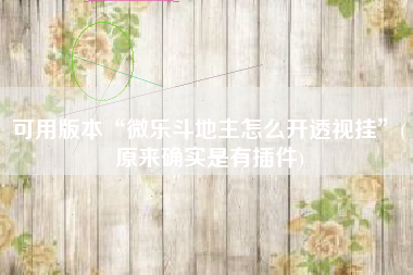 可用版本“微乐斗地主怎么开透视挂”(原来确实是有插件)