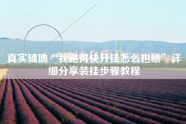 真实辅助“我跑得快开挂怎么也输”详细分享装挂步骤教程