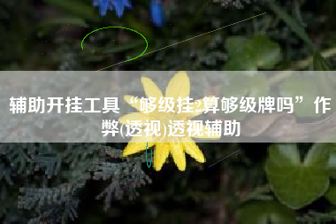 辅助开挂工具“够级挂2算够级牌吗”作弊(透视)透视辅助