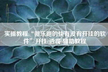 实操教程“微乐跑的快有没有开挂的软件”开挂(透视)辅助教程