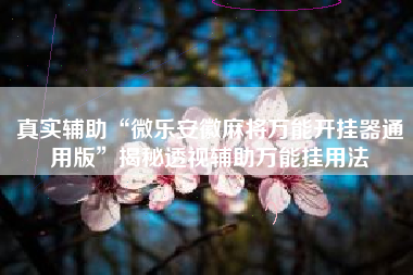 真实辅助“微乐安徽麻将万能开挂器通用版”揭秘透视辅助万能挂用法