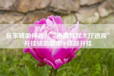 玩家辅助神器：“道游互娱大厅透视”开挂辅助脚本+详细开挂