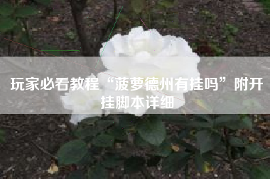 玩家必看教程“菠萝德州有挂吗”附开挂脚本详细