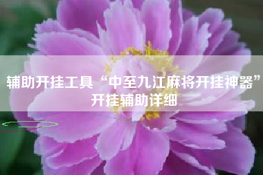 辅助开挂工具“中至九江麻将开挂神器”开挂辅助详细