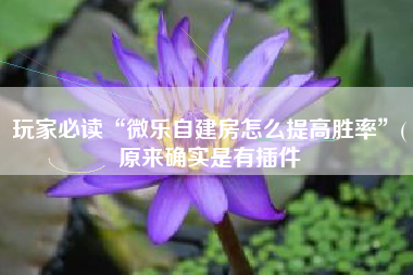 玩家必读“微乐自建房怎么提高胜率”(原来确实是有插件