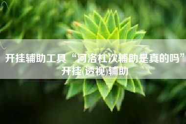 开挂辅助工具“河洛杠次辅助是真的吗”开挂(透视)辅助