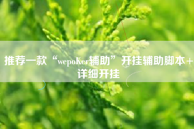推荐一款“wepoKer辅助”开挂辅助脚本+详细开挂