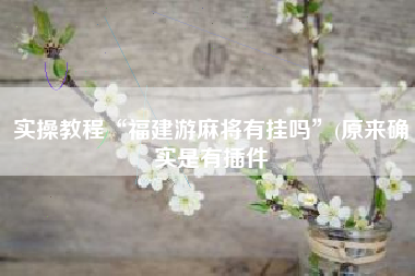 实操教程“福建游麻将有挂吗”(原来确实是有插件